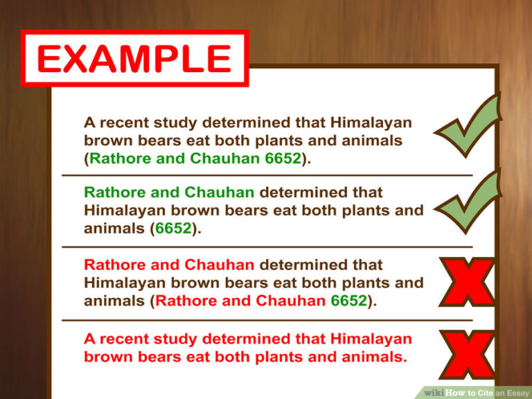 Which in Text Citation is Formatted Correctly in Mla Style